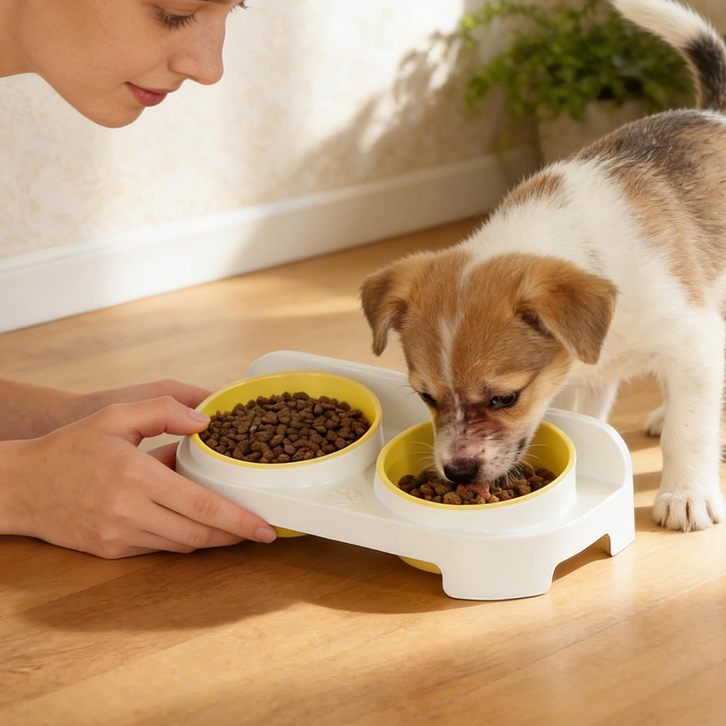 Cat Bowl with Adjustable Height - Anti Slip Tilt Water Supply with Non Slip Design Water Container, Dog Food Bowl Height Adjustable Cat Dish - Kitten Puppy Small Medium Large Pet Indoor Outdoor
