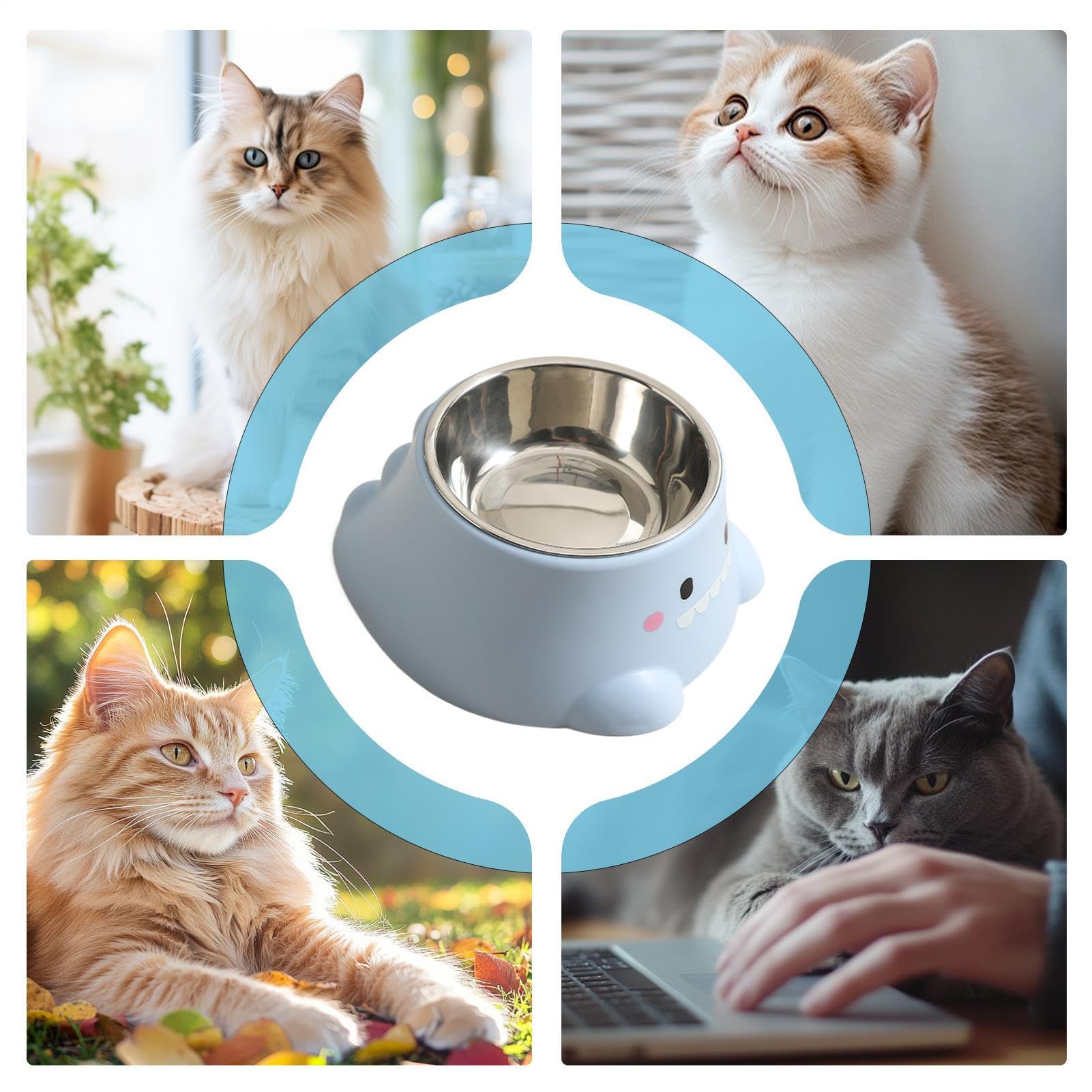 Cat Bowls - Feeder Dogs, Neck Support Bowl Pets, Anti-Spill Puppy Kitten Feeder Pets | Cat Slanted Neck Support Drinking Travel Floor Outdoor Indoor Living Room Lettuce