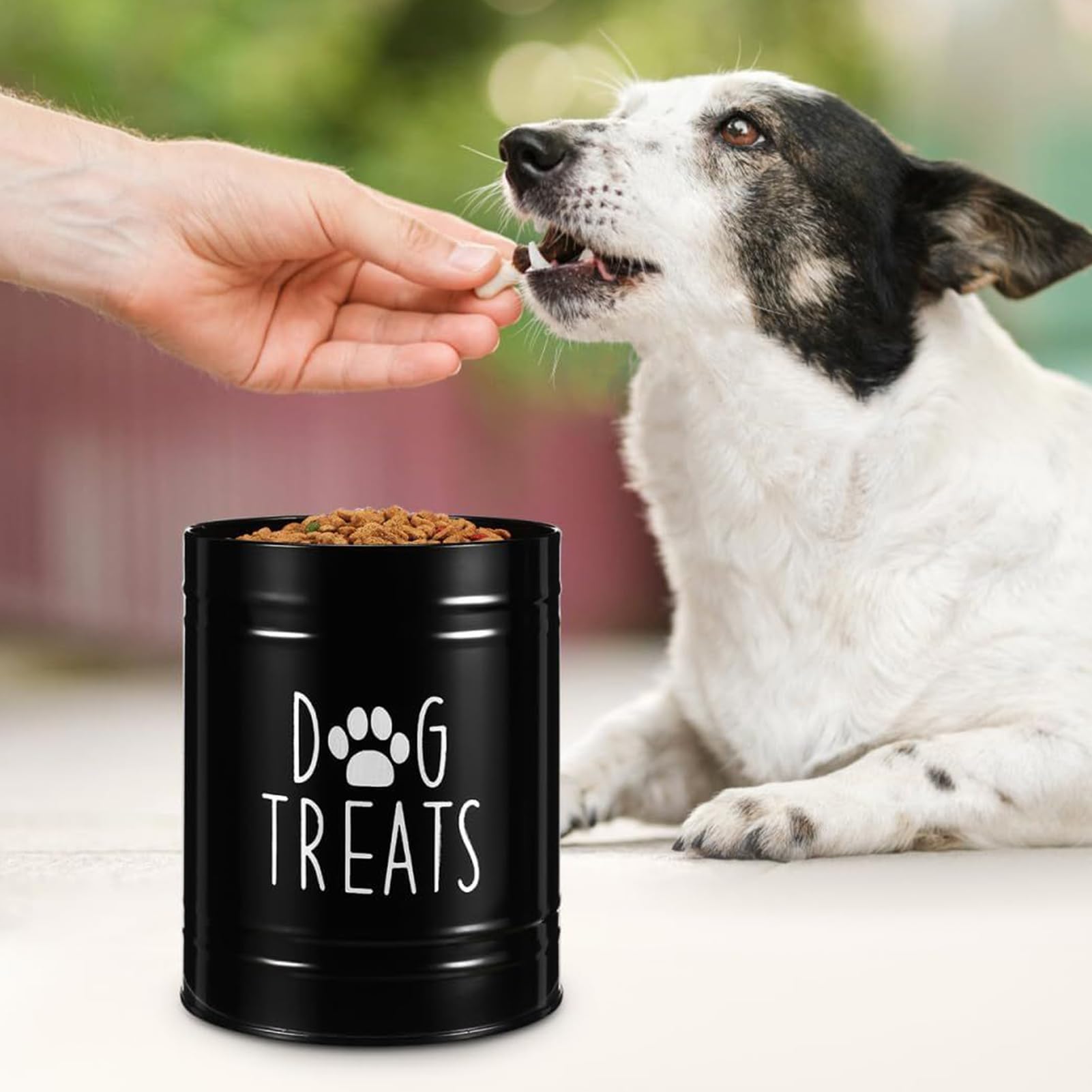 Dog Food | Metal Airtight Organizer Bin | Sealed Pet Food Storage features a strong metal build that handwith handle and lid | for Puppy Bird Feeding Snacks Treats Cabinet Counter