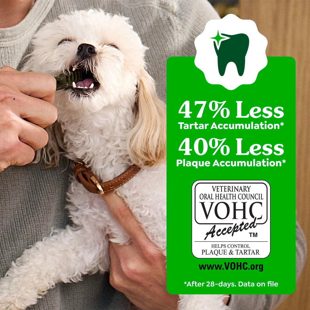 GREENIES Canine Dental Dog Treats Original Petite 60 Chews Value Pack 1.02Kg