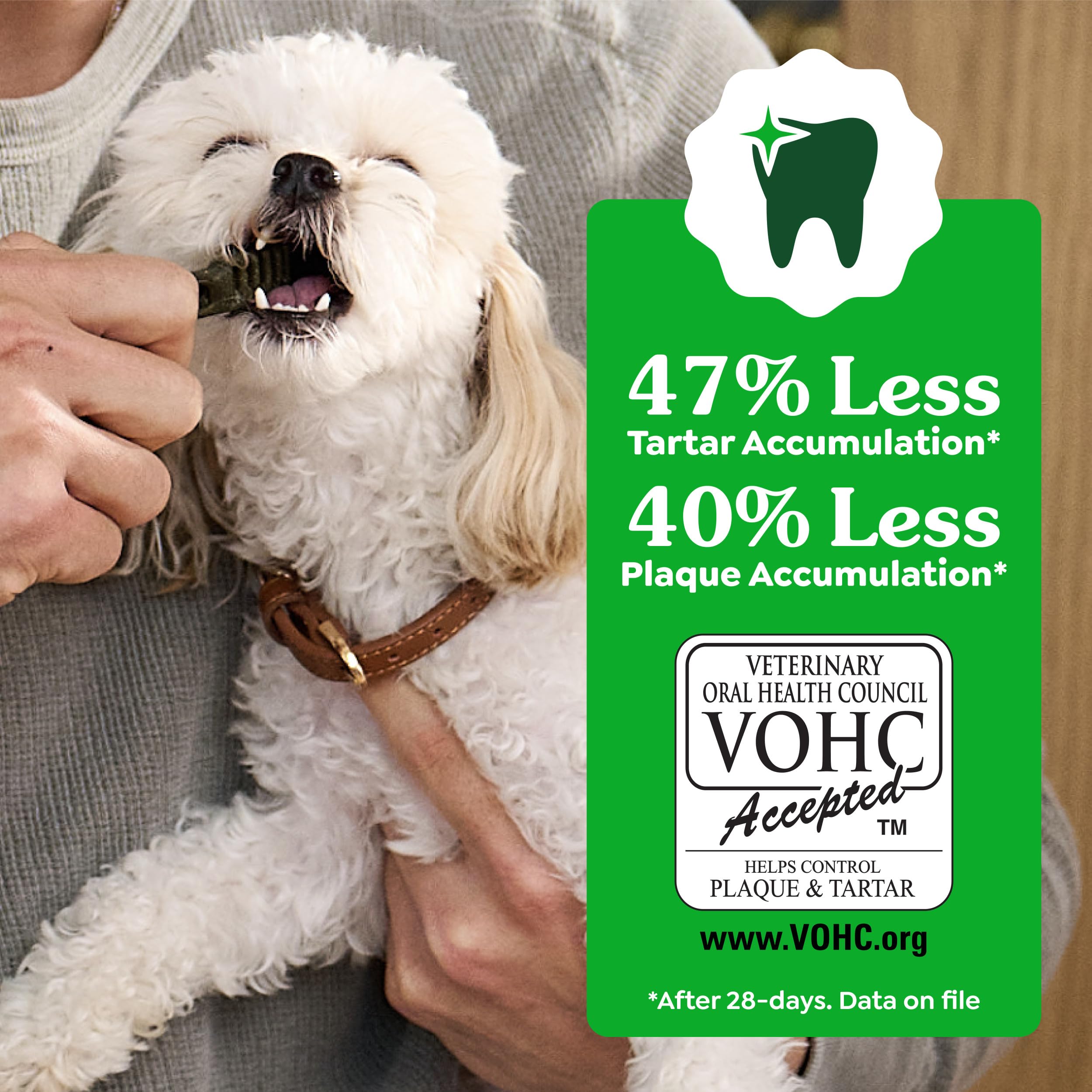 GREENIES Canine Dental Dog Treats Original Petite 60 Chews Value Pack 1.02Kg