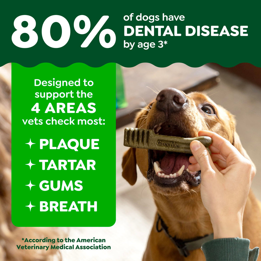 GREENIES Canine Dental Dog Treats Original Petite 60 Chews Value Pack 1.02Kg