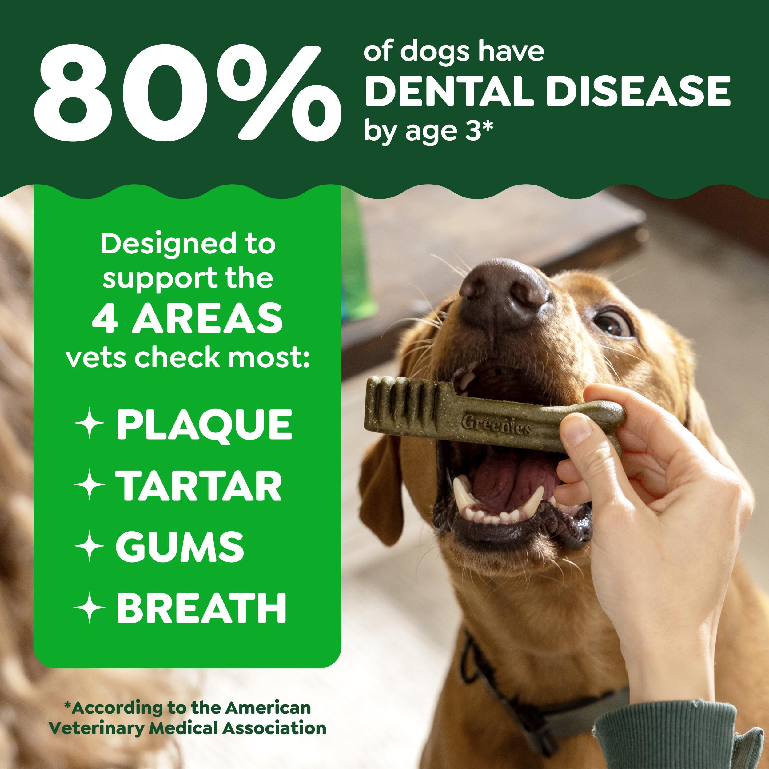 GREENIES Canine Dental Dog Treats Original Petite 60 Chews Value Pack 1.02Kg