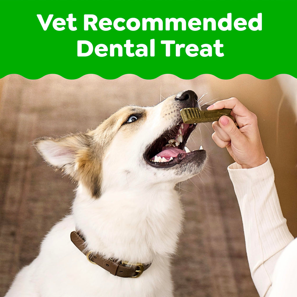 GREENIES Canine Dental Dog Treats Original Petite 60 Chews Value Pack 1.02Kg