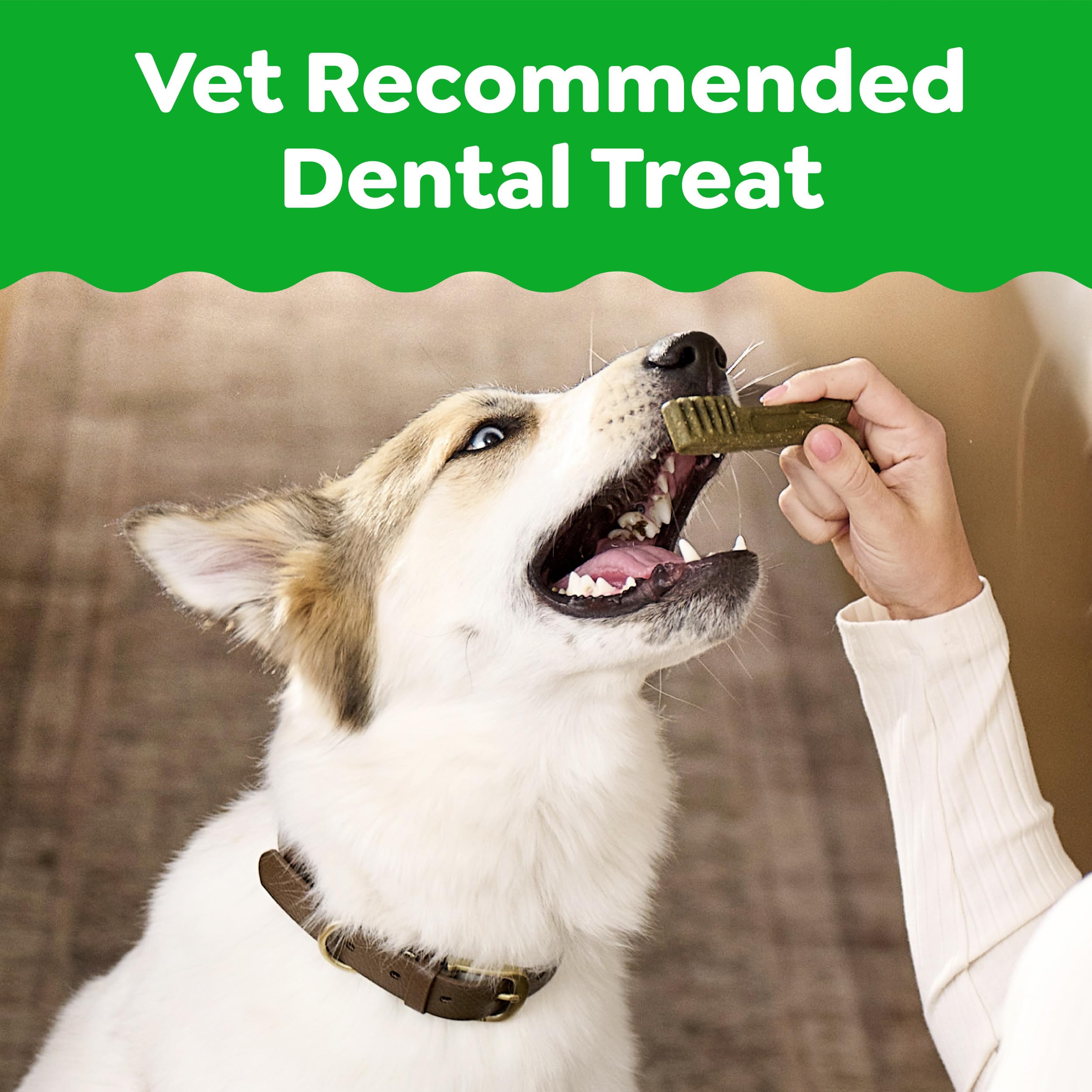 GREENIES Canine Dental Dog Treats Original Petite 60 Chews Value Pack 1.02Kg