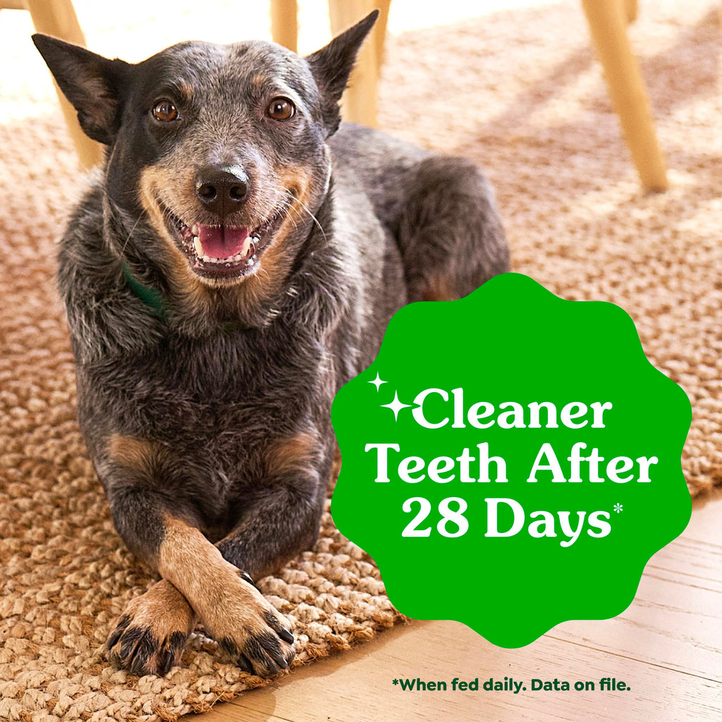 GREENIES Canine Dental Dog Treats Original Petite 60 Chews Value Pack 1.02Kg