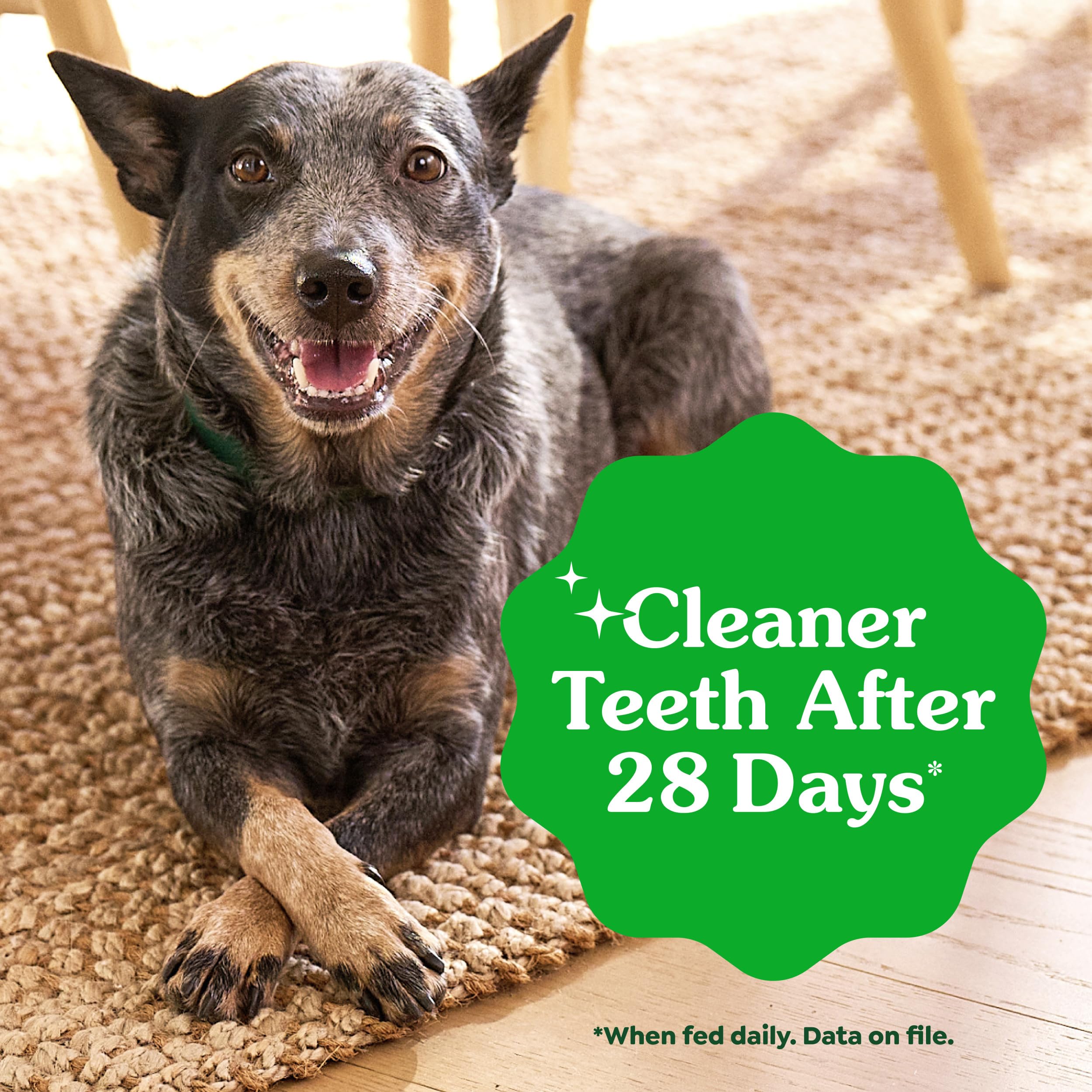 GREENIES Canine Dental Dog Treats Original Petite 60 Chews Value Pack 1.02Kg